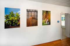 02_20240510nr0090a1_www