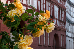 09_Heike_Heuser_Pos_1_1_20230617nr0357a_EG_Beratung-2_www