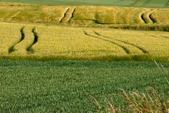 11_Heike_Heuser_Pos_1_3_20230617nr0305a_EG_Beratung-3_www