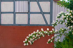 15_Heike_Heuser_Pos_1_7_20230617nr0273b_EG_Beratung-7_www