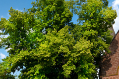 24_Heike_Heuser_Pos_6_3_20230617nr0251b_1OG_Flur_www