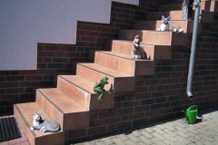 003_mr_bunt_20070501nr15a_www