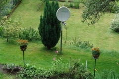 004_mr_bunt_20070712nr4a_www
