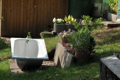 016_mr_bunt_20090917nr019a_www
