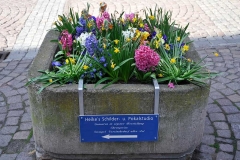 032_mr_bunt_20120418nr017a_www