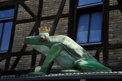 038_mr_bunt_20120630nr088a_www
