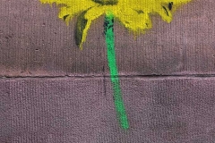 039_mr_bunt_20120719nr031a_www