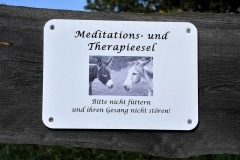 041_mr_bunt_20120914nr084a_www