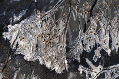 001_Eis-Schoenheiten_www