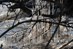 002_Eis-Schoenheiten_www