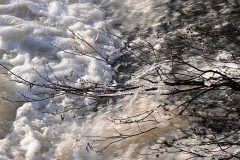 003_Eis-Schoenheiten_www