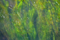 02_Fluss_Lahn_20091025nr045a_www