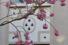 002-Kirschbluetenzeit-Architektur-02_www