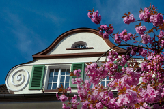 005-Kirschbluetenzeit-Architektur-02_www