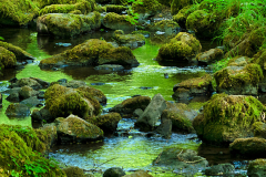 01_Der_Klang_des_Wassers_Heike-Heuser