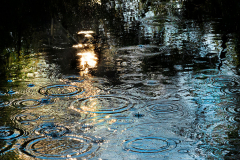 02_Der_Klang_des_Wassers_Heike-Heuser