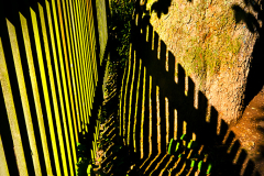 01-LichtFunde_www