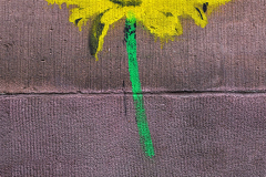 001_Loewenzahn_Graffiti_www