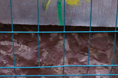 002_Loewenzahn_Graffiti_www