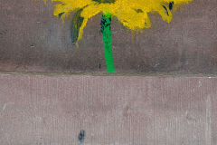 003_Loewenzahn_Graffiti_www