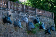 006_mr_schloss_oberstadt_20120617nr039a_www