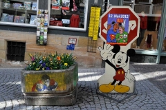 032_mr_schloss_oberstadt_20120418nr060a_www