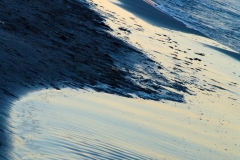 Meer_06_20110506nr178a_www