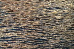 Meer_10_20120917nr015a_www