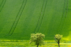 01_Naturwege_Heike_Heuser_1000