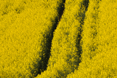 02_Naturwege_Heike_Heuser_1000