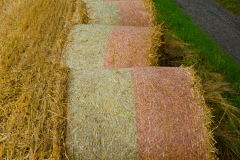 04_Naturwege_Heike_Heuser_1000