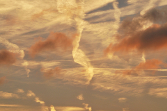 05_Naturwege_Heike_Heuser_1000