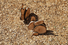 019_Osterzeit_www-1