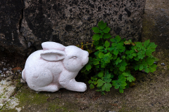 062_Osterzeit_www