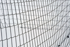 017_Stiller_Schnee_20130224nr072b_www