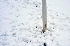 028_Stiller_Schnee_20130224nr107b_www