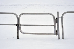 036_Stiller_Schnee_20130224nr149b_www