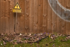 36_UB_Marburg_Baustelle_20150305nr220a_www