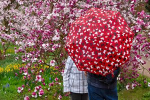 Foto: Heike Heuser, Lieblingsbilder 2026, Mustermix I Frankfurt, Blaue Linse Marburg